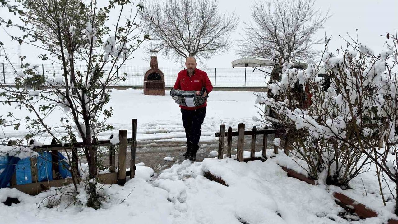 Soğuk Havada Sokak Hayvanlarına Destek