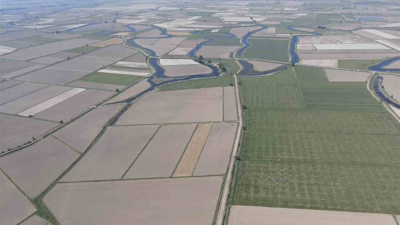 Söke'de 2026 Üretim Yılı Tarımsal Ürün Deseni Açıklandı