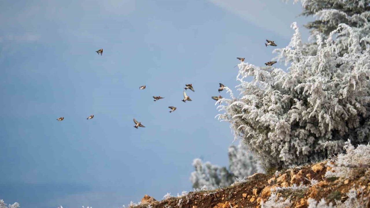 Spil Dağı'nda Buz Manzaraları