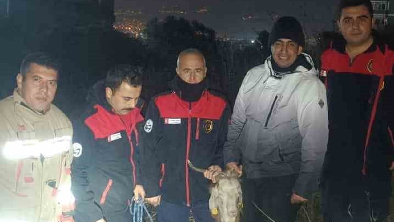 Su Kuyusuna Düşen Keçi İtfaiye Ekiplerince Kurtarıldı