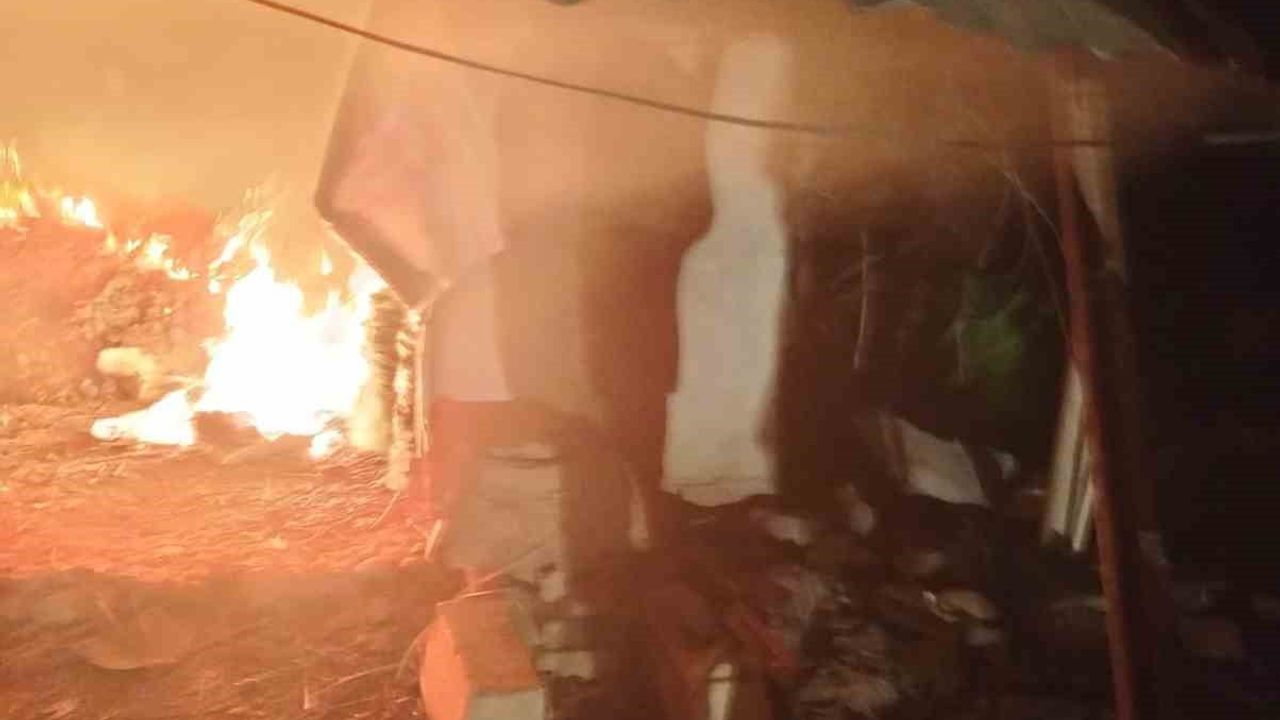 Şuhut'ta Odun Deposu Yangını Korkuttu