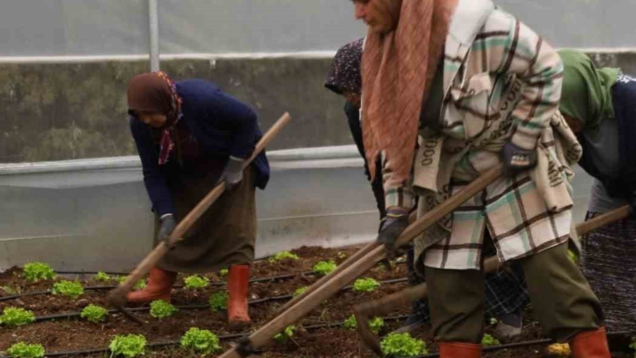 Tarım Akademisi ile Yeni Nesil Çiftçilere Eğitim Desteği