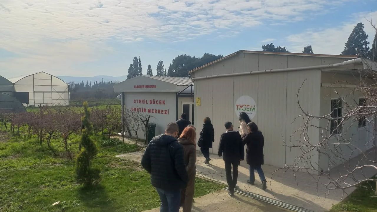 Tarım Zararlılarıyla Mücadelede 2026 Yetkisi Belirlendi