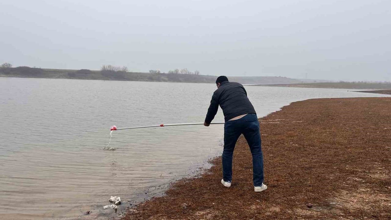 Tekirdağ'da Temrezli Göleti'nde Balık Ölümleri