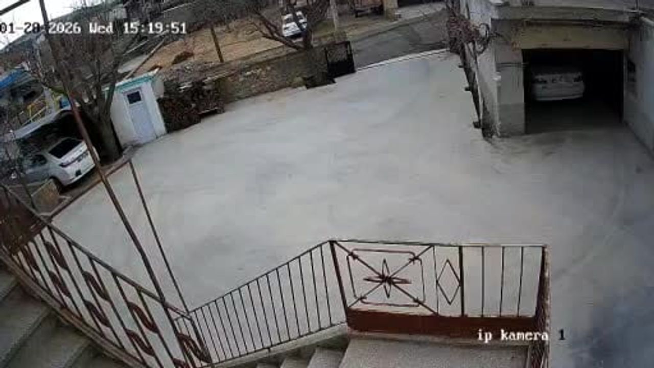 Tilkinin Tavuklara Saldırısı Güvenlik Kamerasında