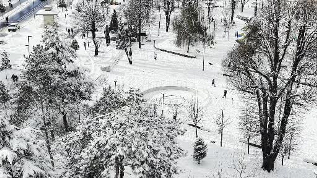 Tropikal Misafirlerin İlk Kar Deneyimi
