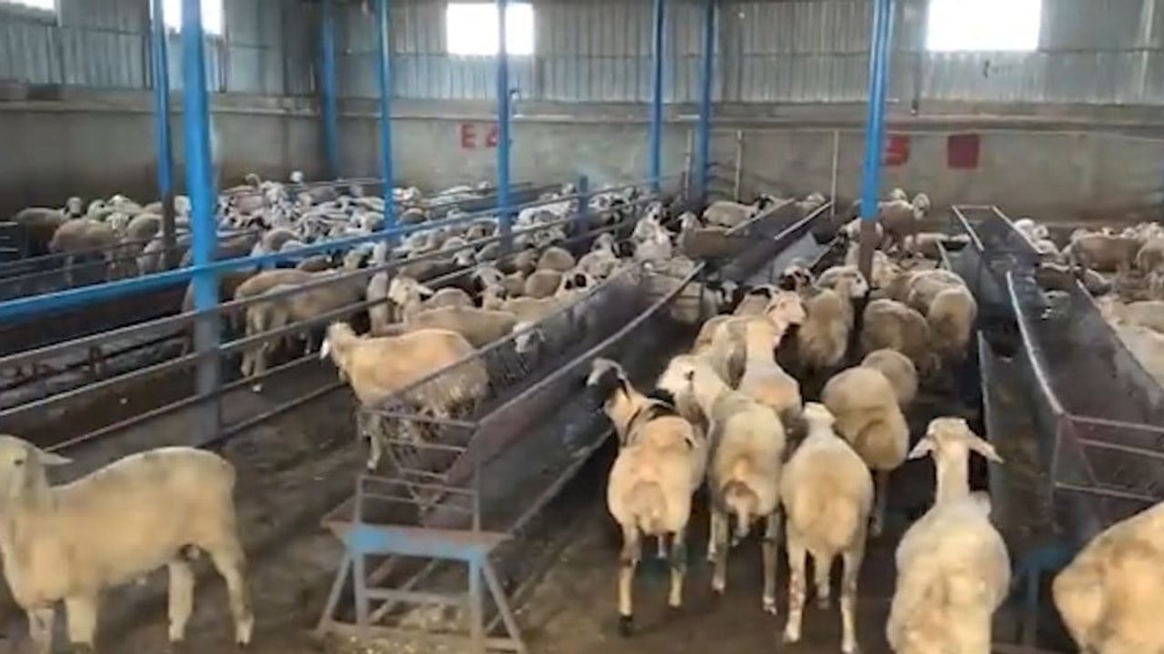 Tunceli'de 14 Milyon TL'lik Sahte Banka Dekontu Vurgunu