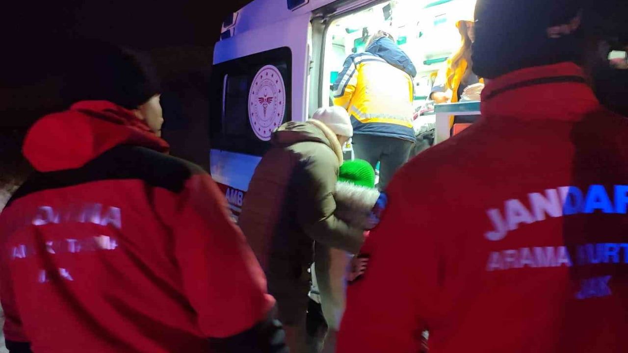 Tunceli'de Kedi Tırmalaması: Ekipler Seferber Oldu