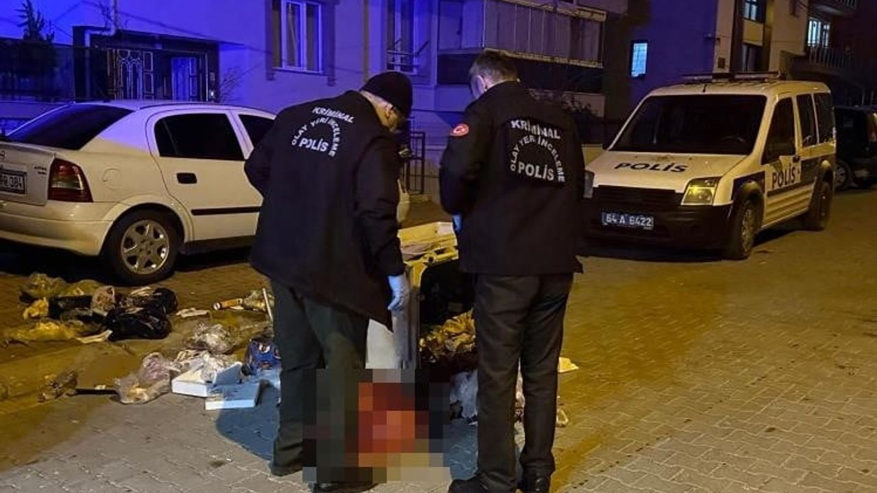Uşak'ta Çöp Konteynerinde Yeni Doğmuş Bebek Cesedi Bulundu