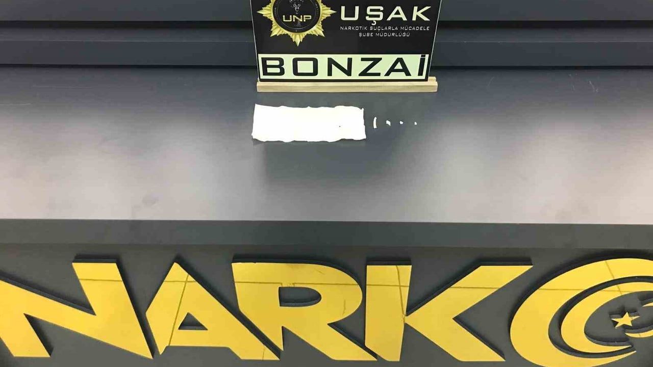 Uşak'ta İki Ayrı Uyuşturucu Operasyonu