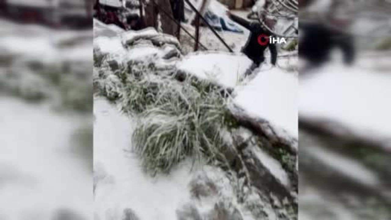 Üsküdar'da Kontrolden Çıkan Araç Bahçeye Uçtu