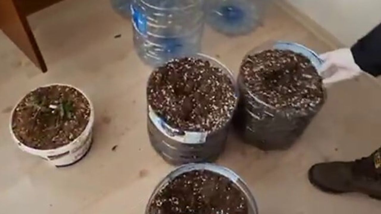 Uyuşturucu Üretim Serası Baskını
