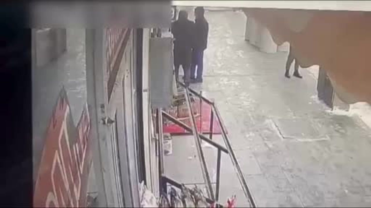 Van'da Dolandırıcılık Faaliyetlerine Son