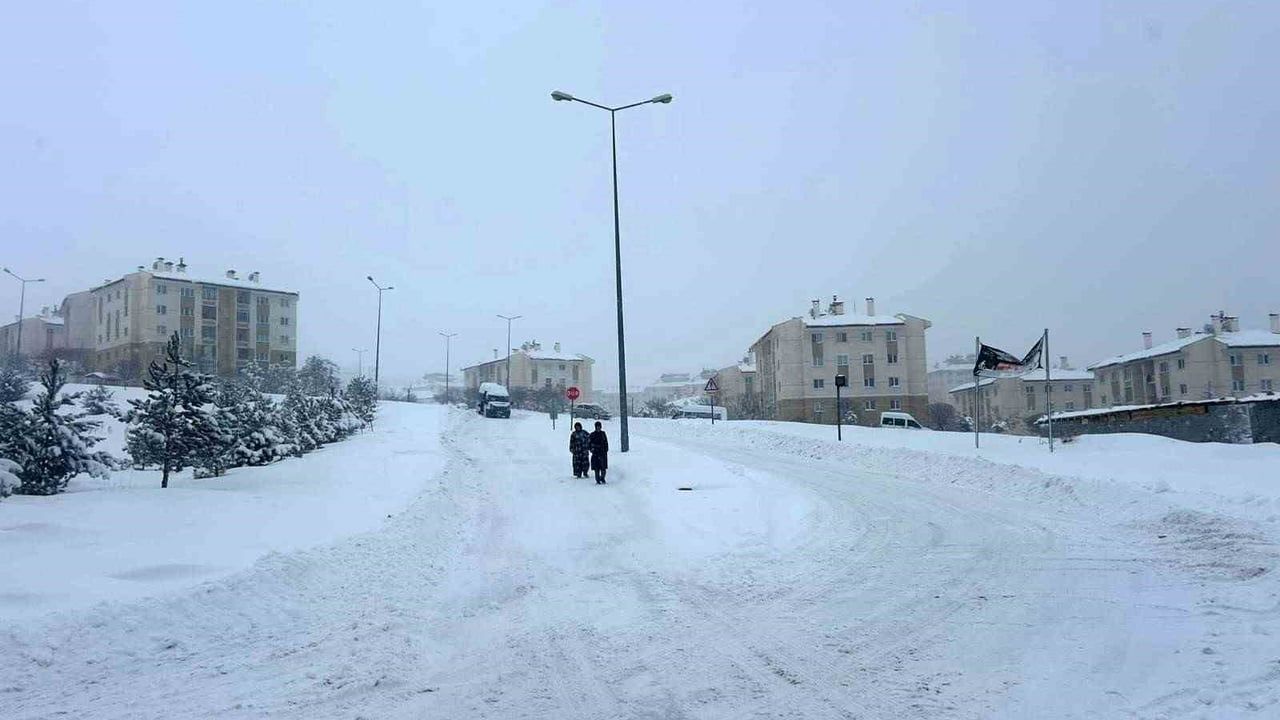 Van’da Kar Yağışı Hayatı Olumsuz Etkiliyor