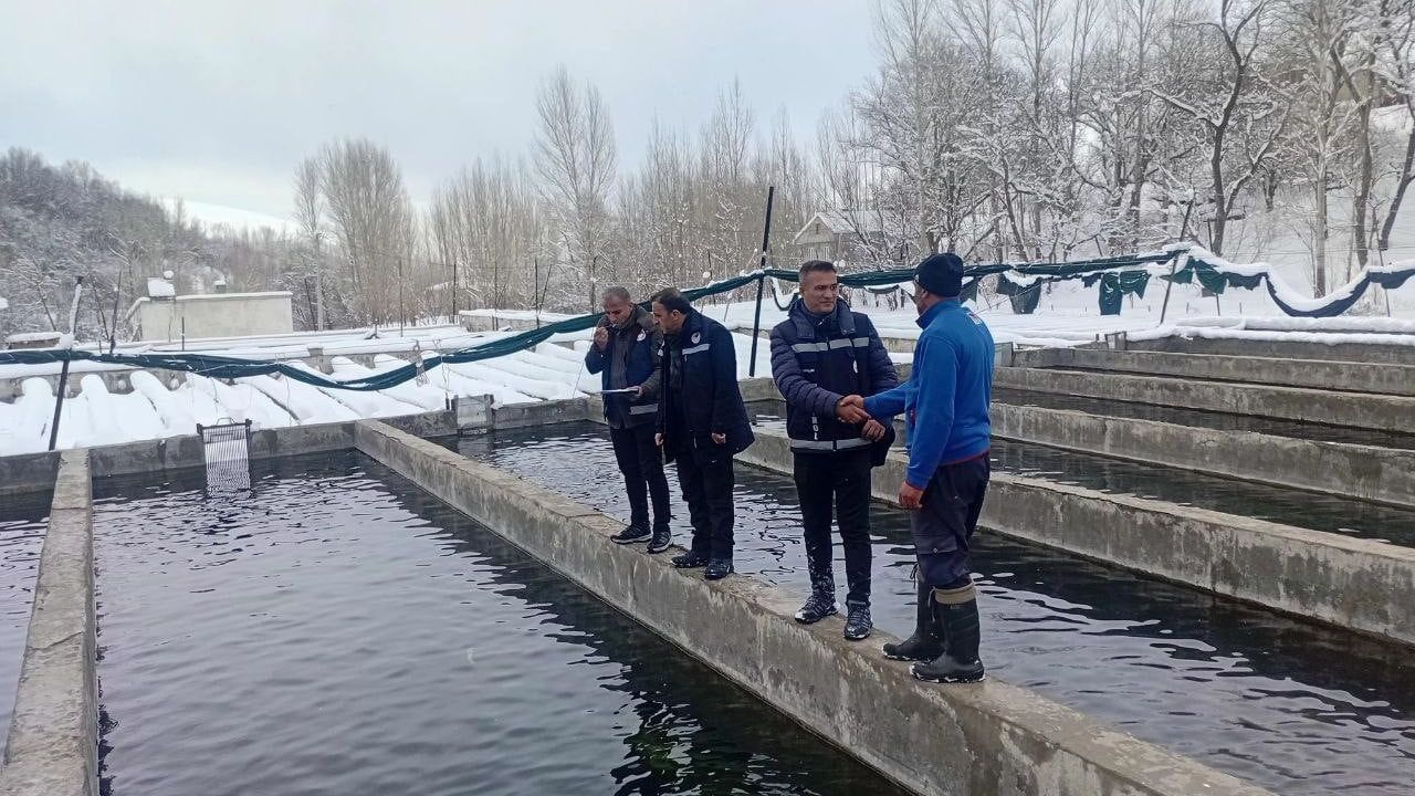 Van'da Kış Şartlarında Alabalık Üretimi Denetim Altında