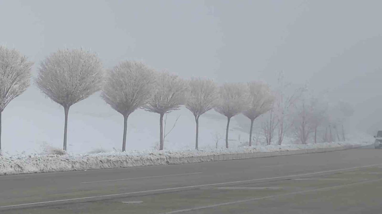 Van'da Sibirya Soğukları Günlük Hayatı Olumsuz Etkiliyor