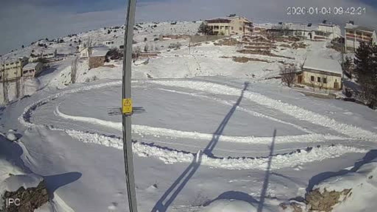 Vaşak ve Tavşan: Doğanın Kayıt Altındaki Savaşımı