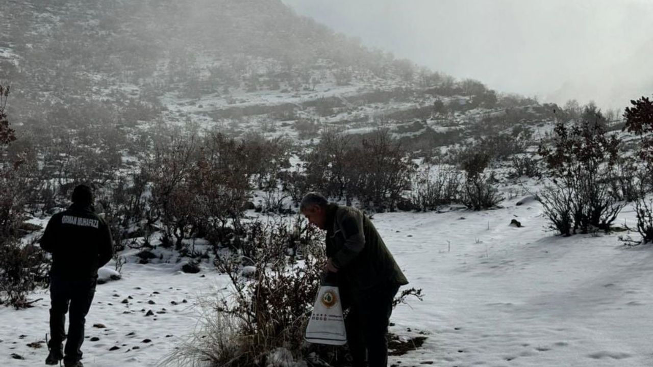 Yaban Hayata Umut Olma Çabası
