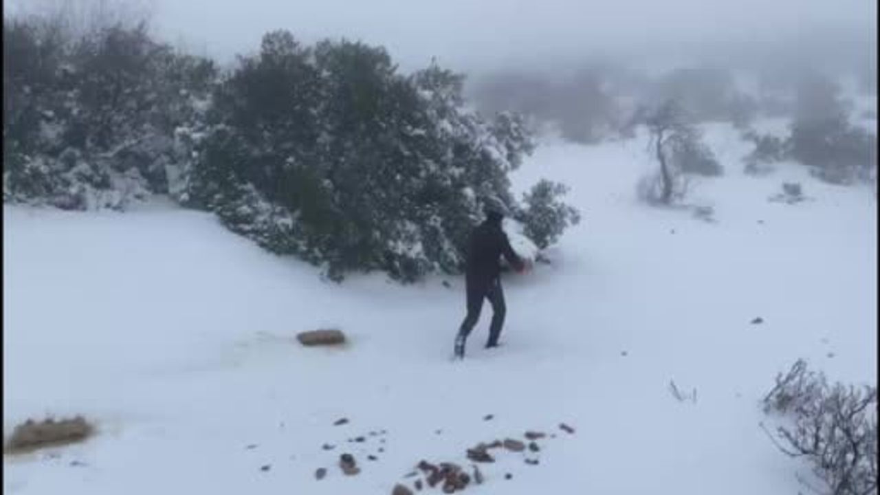 Yaban Hayvanları İçin Karlı Havada Yemleme Faaliyeti