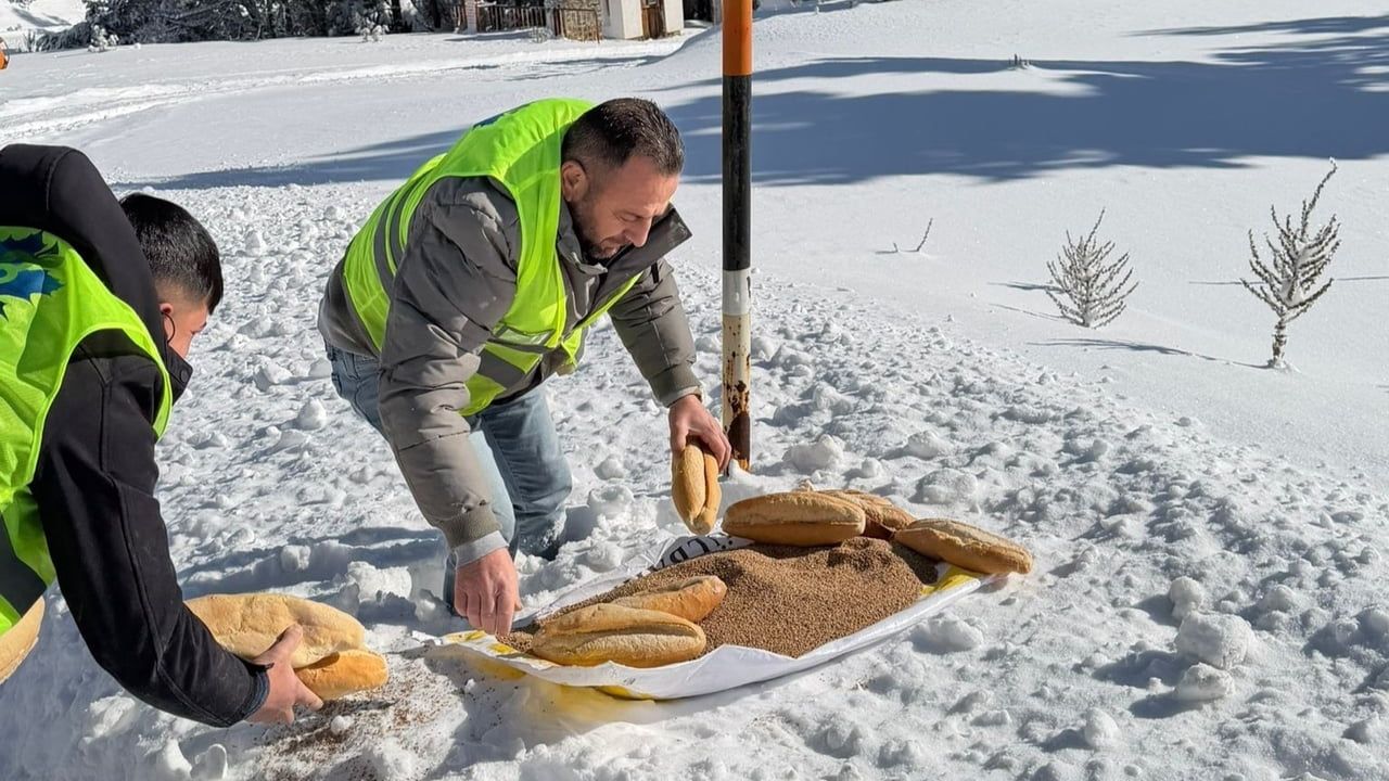 Yaban Hayvanları İçin Ormana Yem Bırakıldı