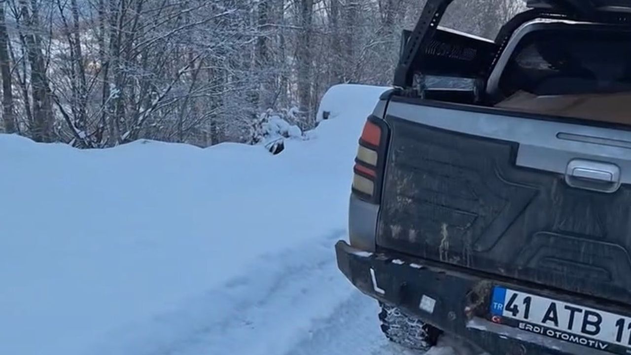 Yaban Hayvanlarına Yem Bırakan Vatandaş, Geyiklerle Karşılaştı