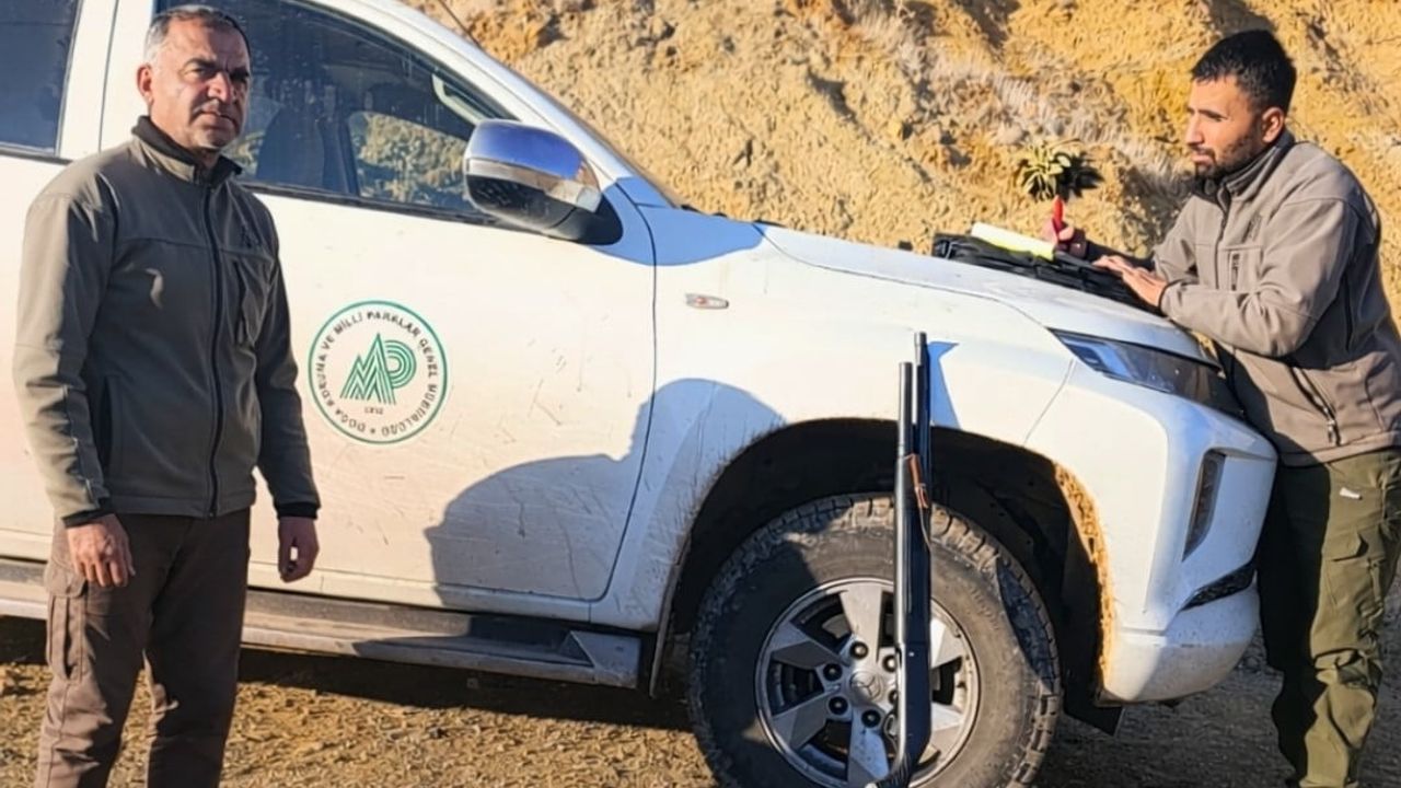 Yaban Keçisi Avcılarına Ağır Ceza