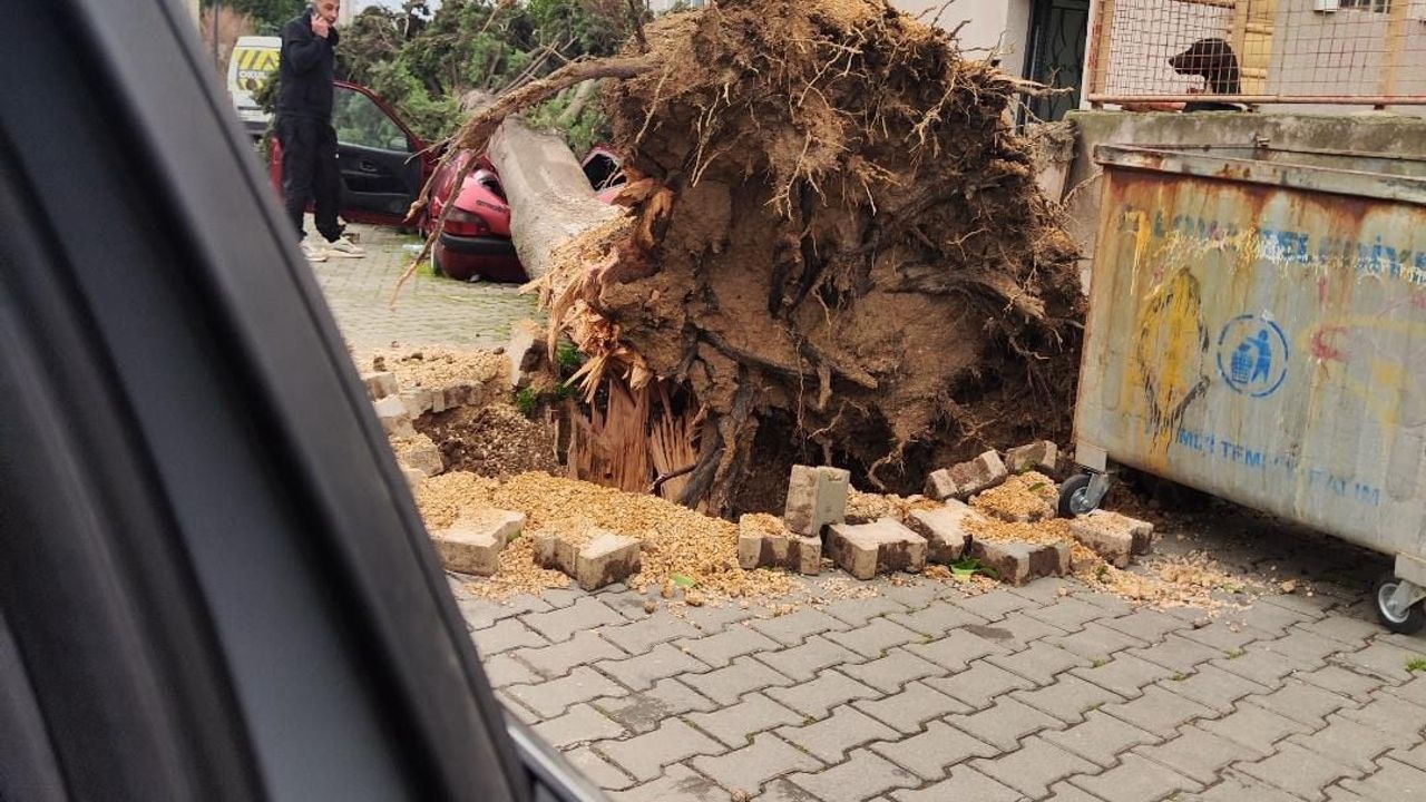 Yalova’da Fırtına Hayatı Olumsuz Etkiliyor