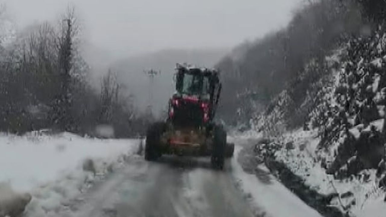 Yalova'da Kar Yağışı Etkili Oluyor