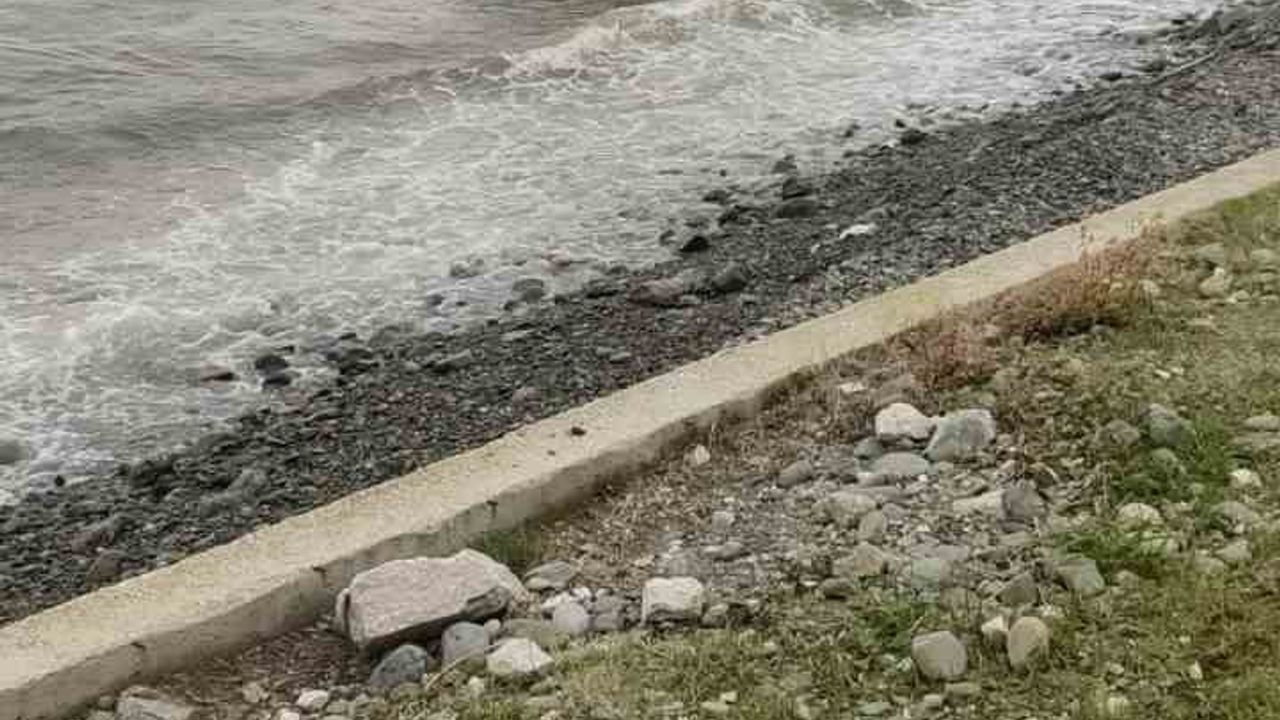 Yalova'da Pikap Denize Uçtu: Bir Kişi Yaralandı