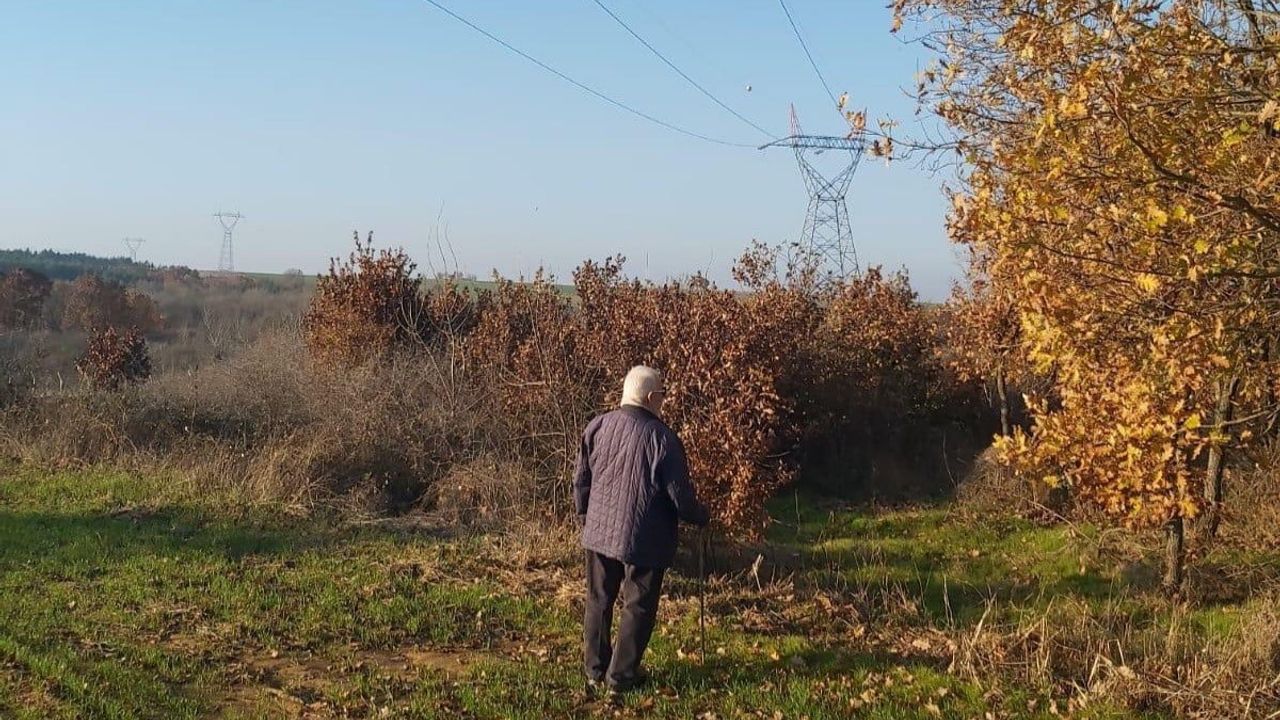 Yargıtay'dan Kamulaştırma Davası İçin Emsal Karar