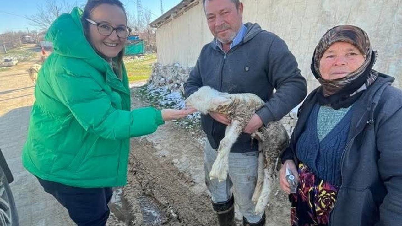 Yeni Doğan Kuzu Aşılama Çalışmalarında Sevinç Kaynağı Oldu