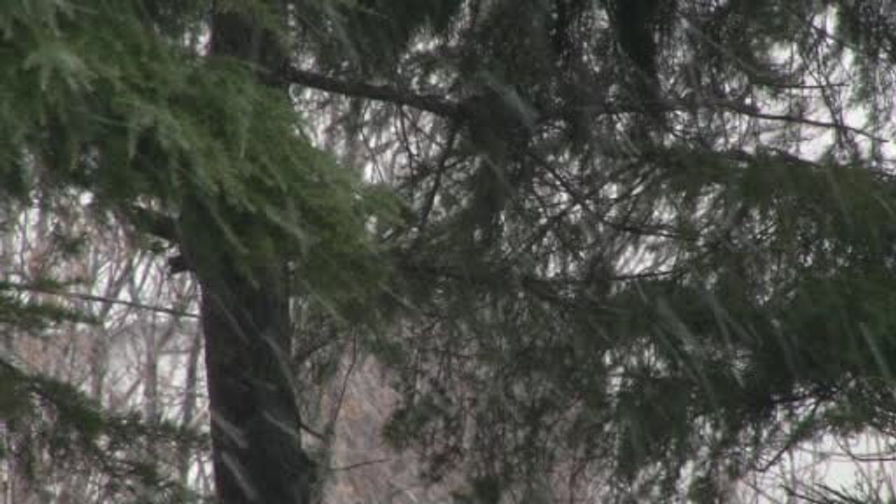 Yenibosna'da Yoğun Kar Yağışı