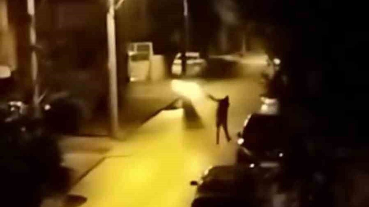 Yılbaşı Kutlamasında Havaya Ateş Açan Şahıs Yakalandı