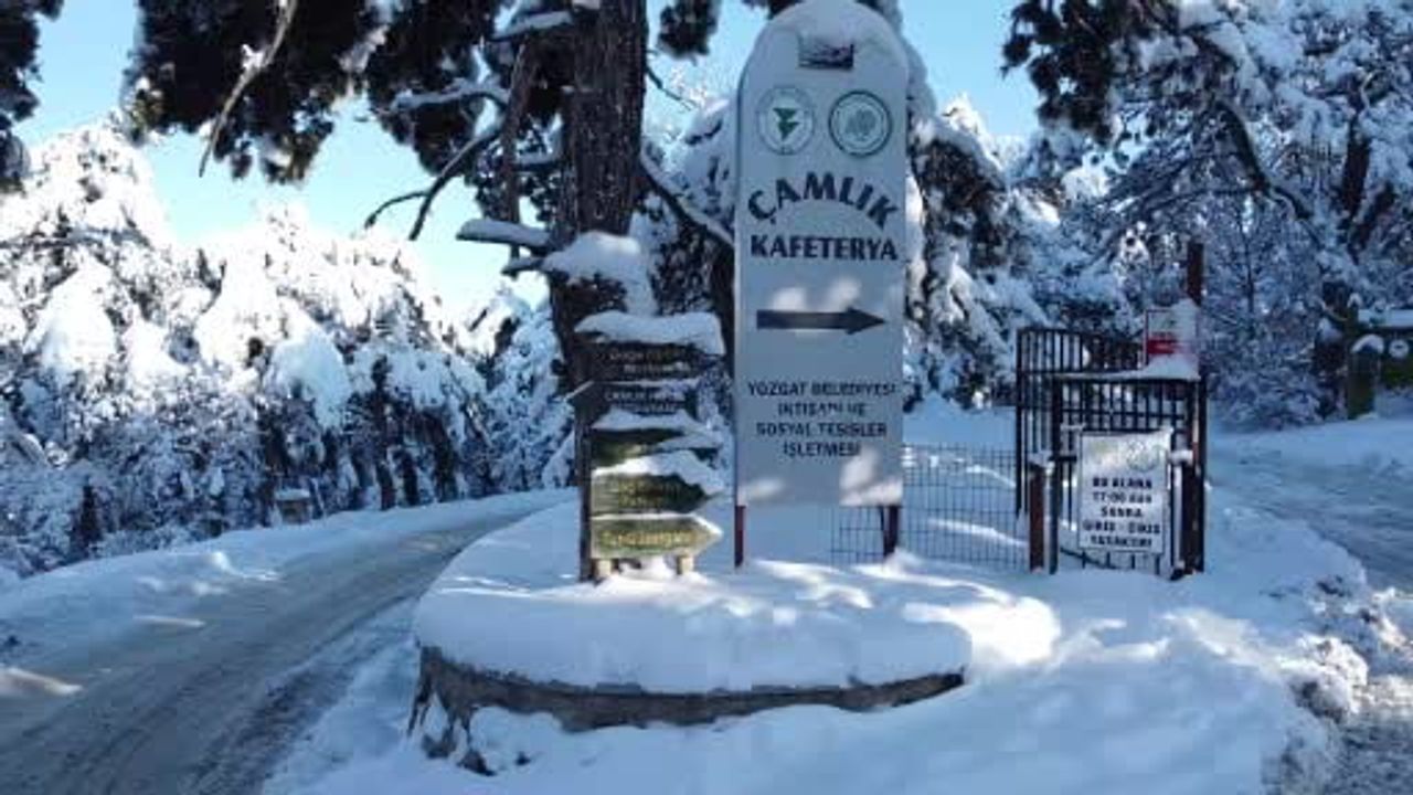 Yozgat Çamlığı'ndaki Kış Manzarası Havadan Görüntülendi