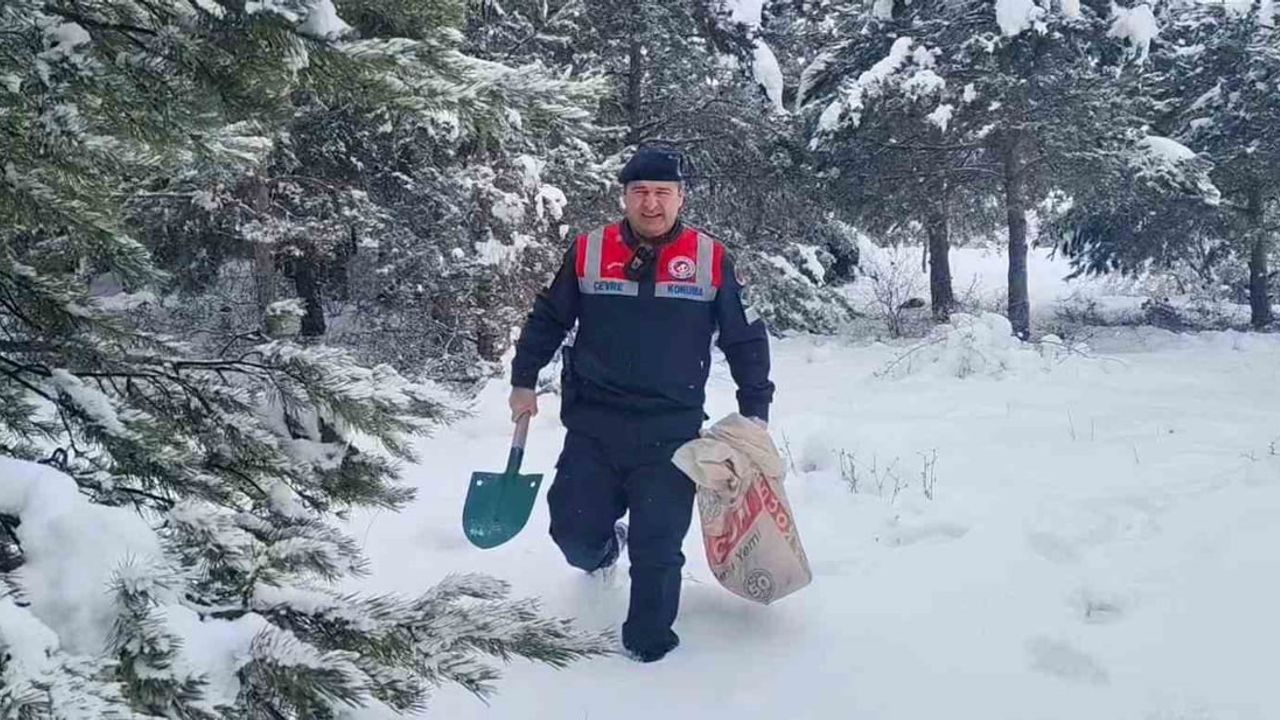 Yozgat’ta Jandarma Yaban Hayvanlarını Unutmadı