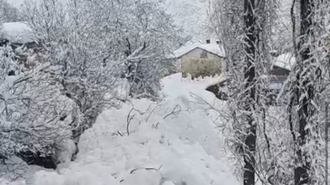 Yüksekova'da Çığ Tehlikesi: Yeşiltaş Köyü Facianın Eşiğinden Döndü