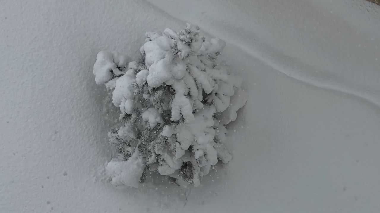 Yüksekova'da Kar Yağışı Hayatı Olumsuz Etkiliyor