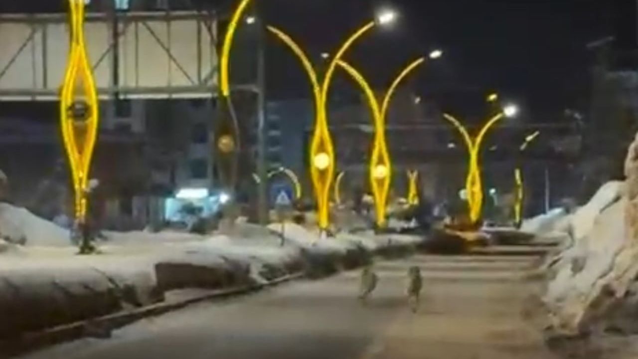 Yüksekova'da Kurtlar Şehir Merkezine İndi