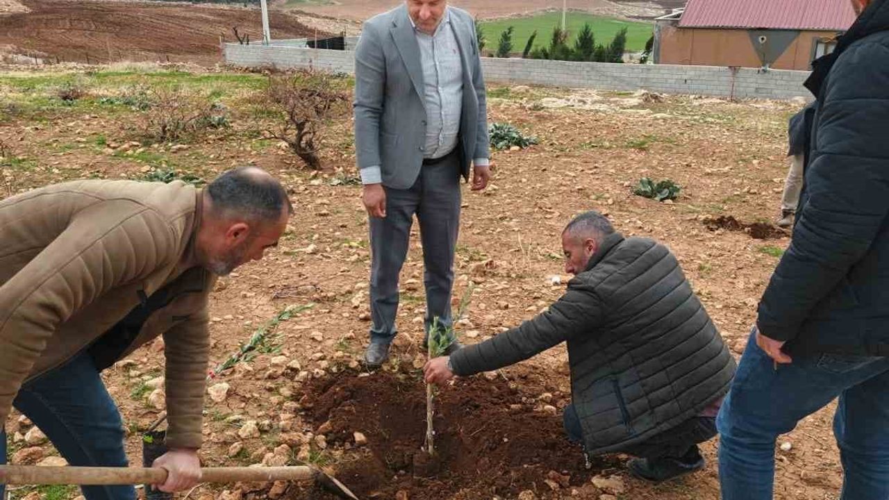 Zeytinli Mahallesi: Geleceğin Sıfır Atık Köyü