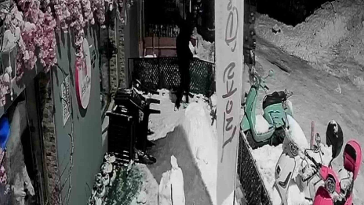 Zonguldak'ta Eğlence İstemeyenlerin Kardan Adam Saldırısı