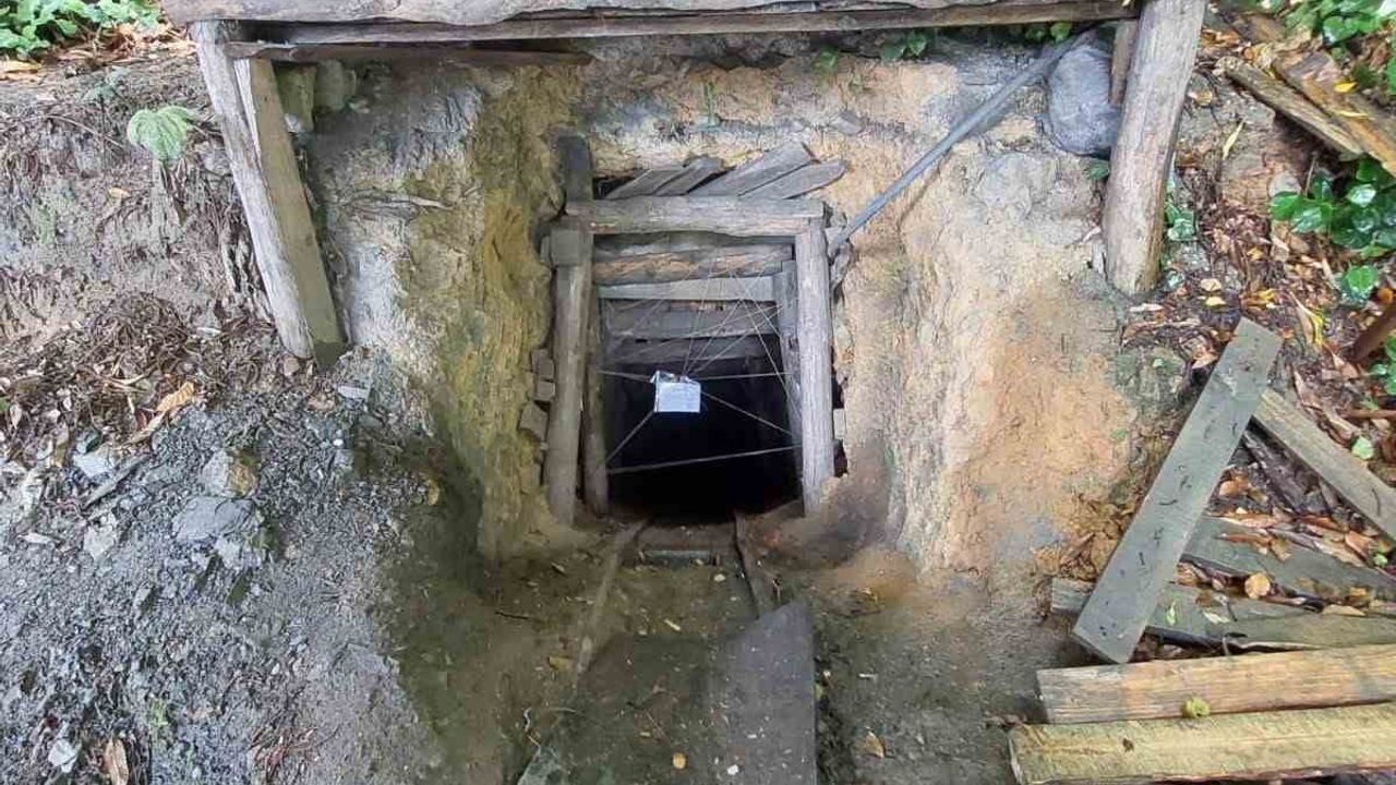 Zonguldak'ta Güvenlik Denetimleri: 43 Gözaltı, 4 Tutuklama