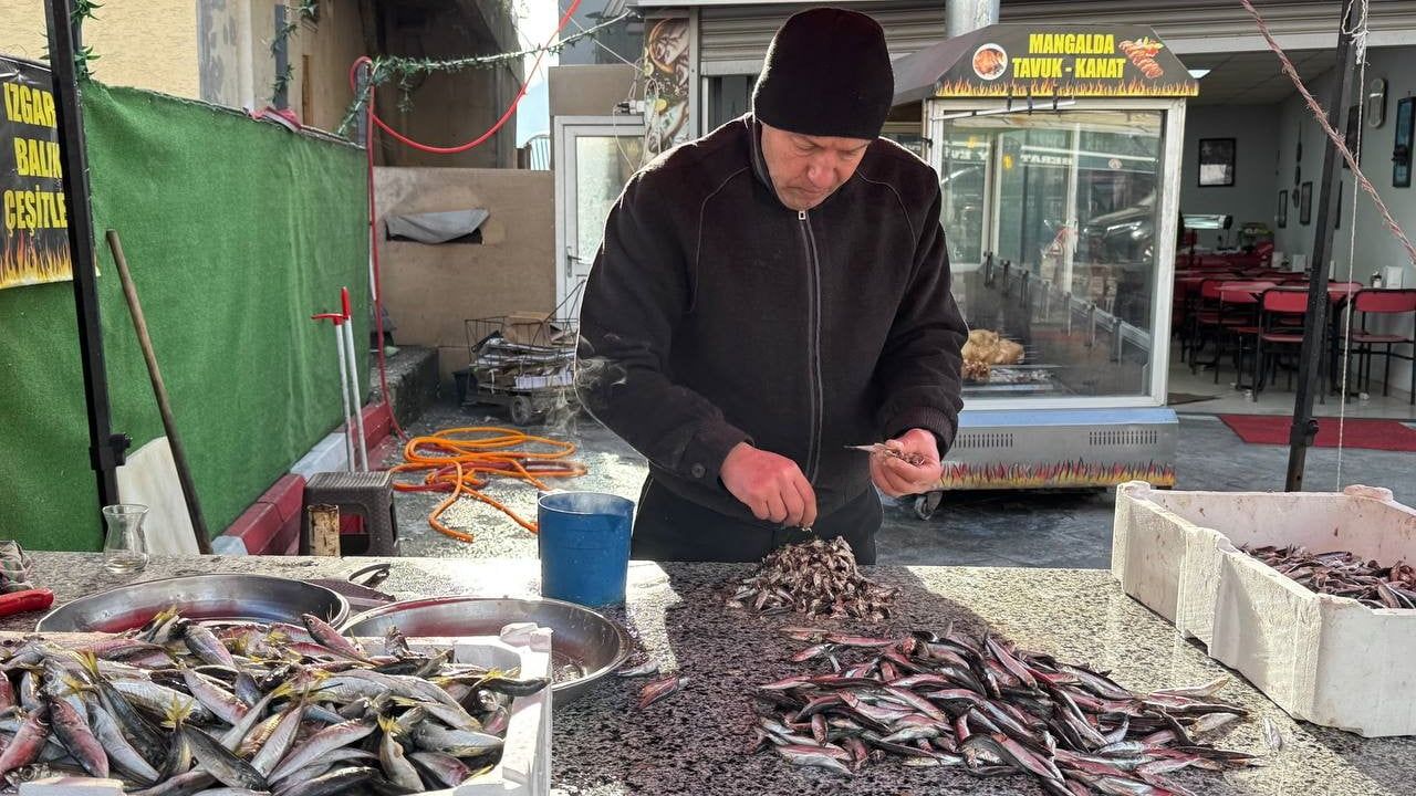 Zonguldak'ta İstavrit Sezonu Başladı