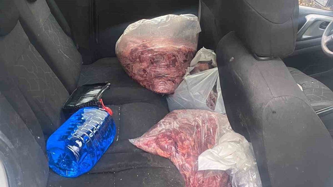 Zonguldak'ta Jandarma Yol Kontrolünde 450 Kilo Bozulmuş Et Ele Geçirildi