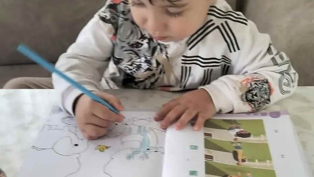 Zonguldak'ta Tragedy: 4 Yaşındaki Sarp Hayatını Kaybetti