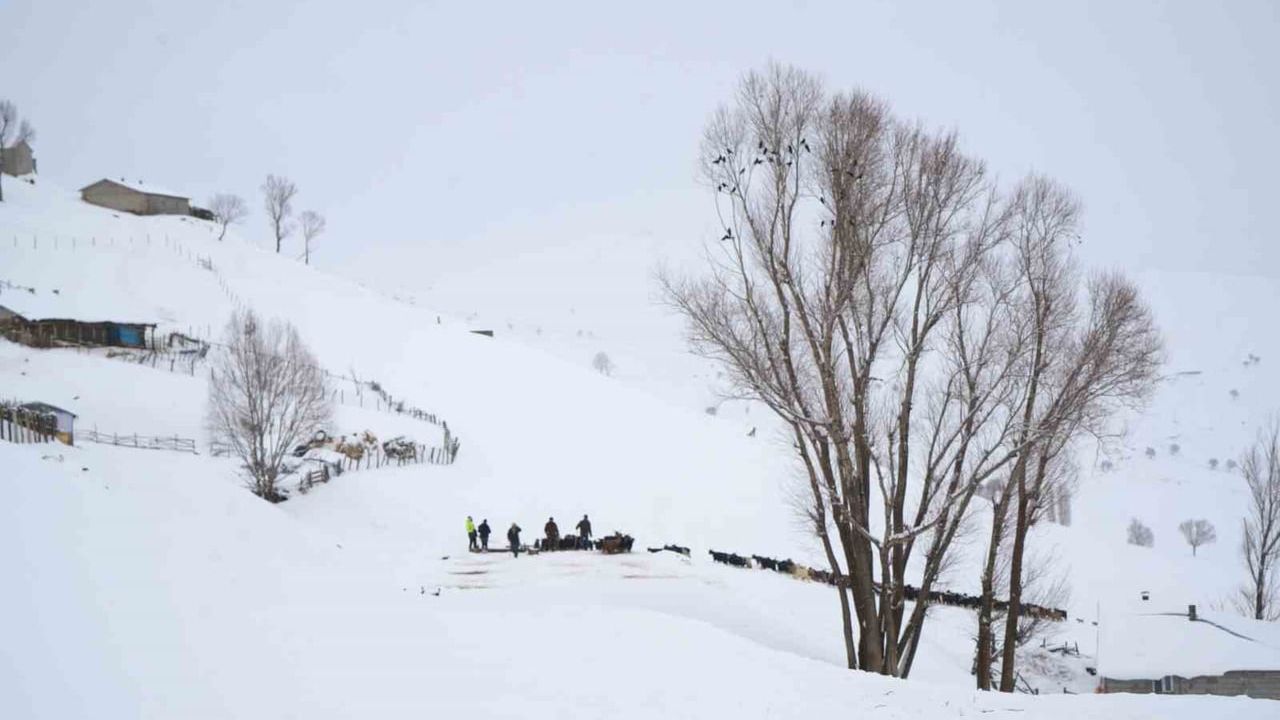 Zorlu Kış Koşullarında Keçi Sürüsü Kurtarıldı