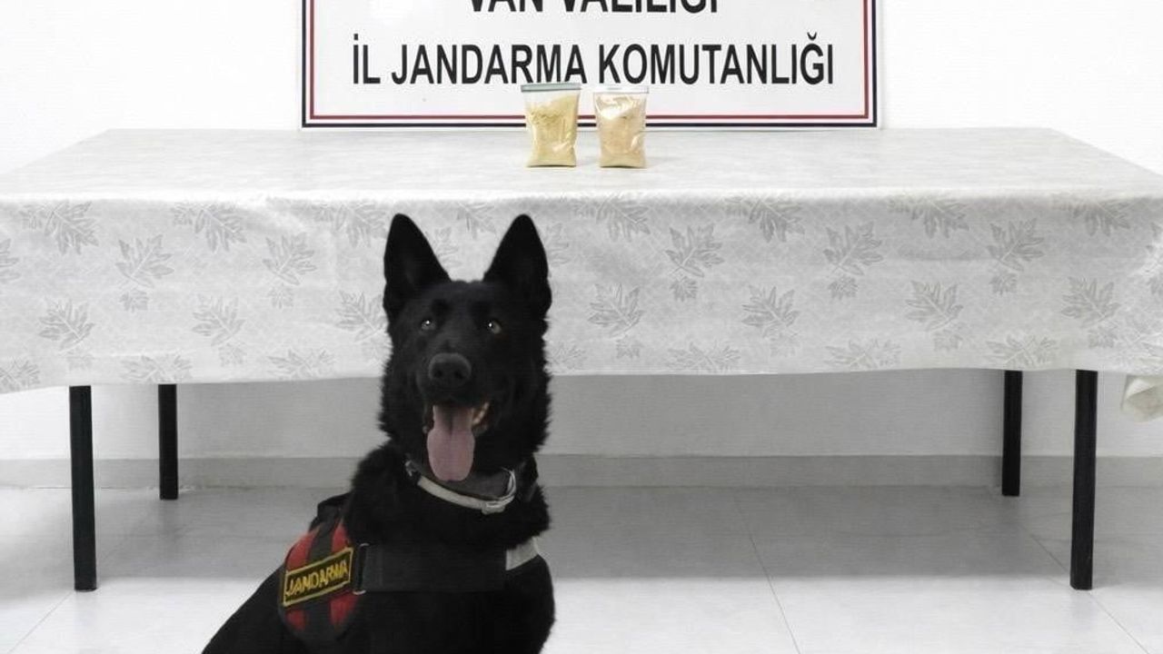 Başkale'de Eroin Operasyonu: 510 Gram Ele Geçirildi