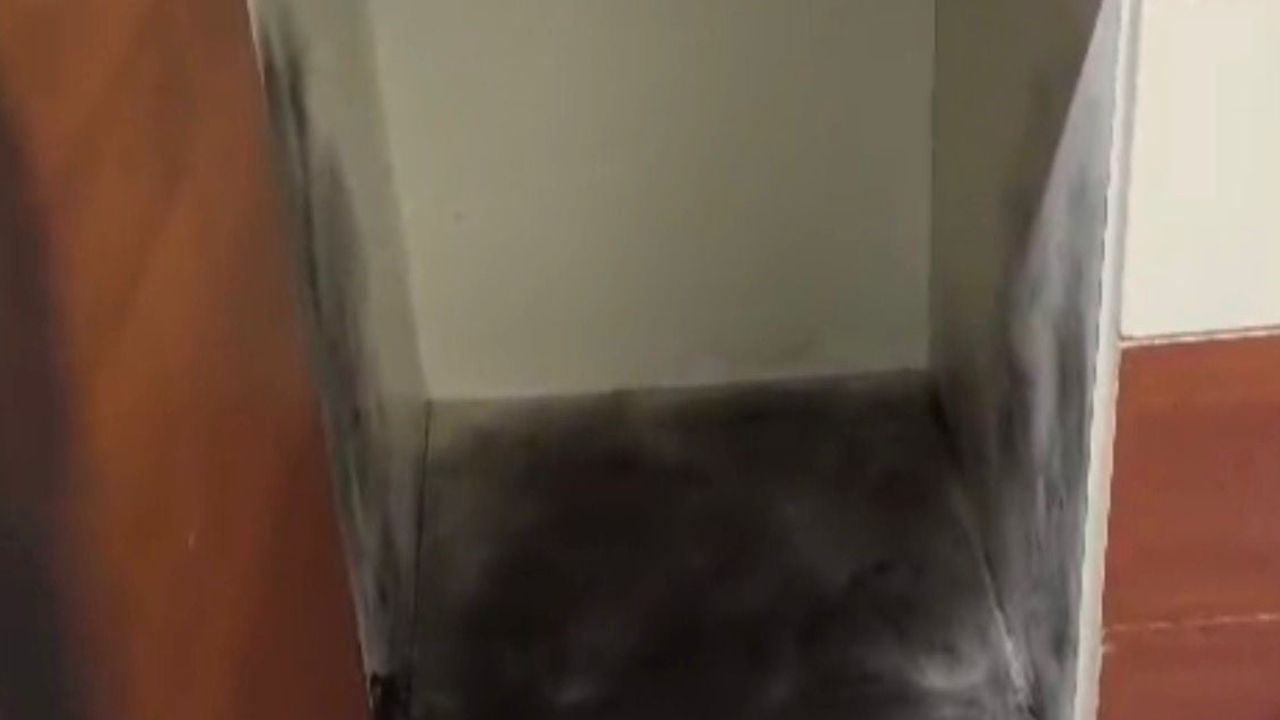 Gaziantep'te 2,7 Milyon TL'lik Kasa Hırsızlığı