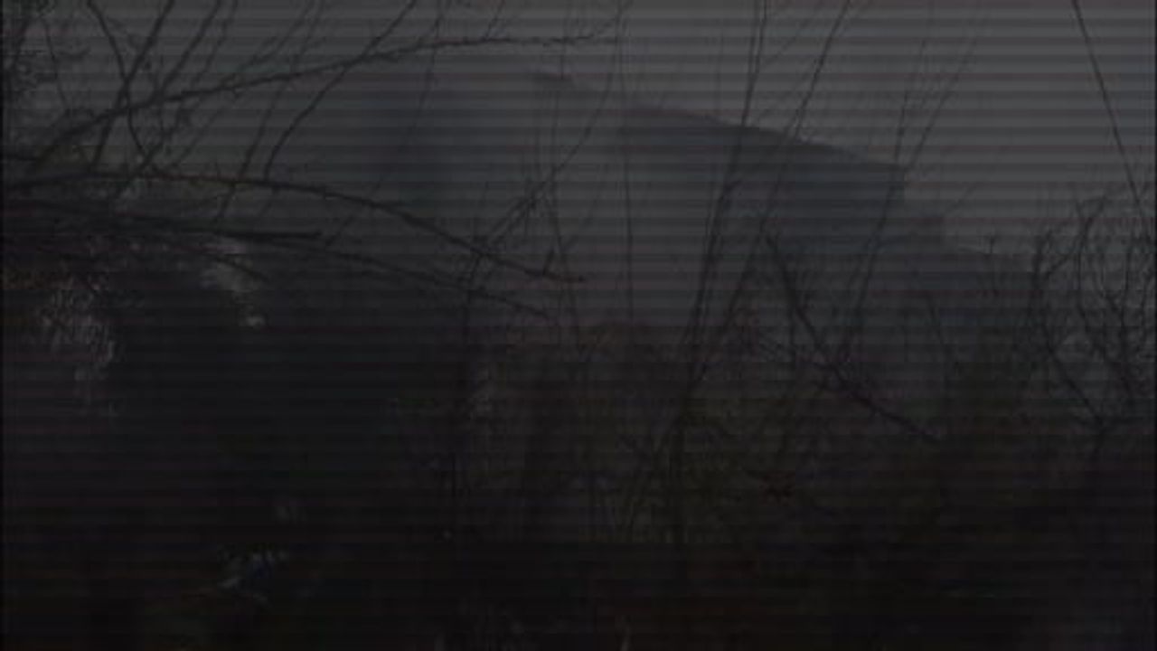 Hatay'da Yangında Alevlere Teslim Olan Anne ve Çocukları