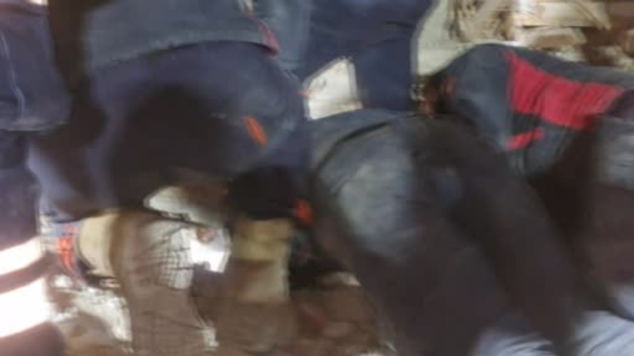 Kedi Sesiyle Kurtarılan Aysima: Kahramanların Hikayesi