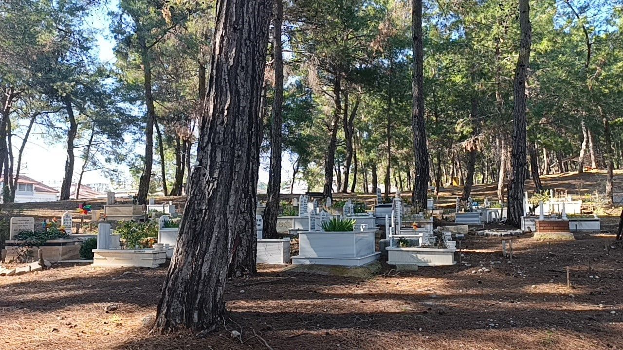 Rengarenk Bebek Mezarlığı: Duygusal Bir Veda Yeri